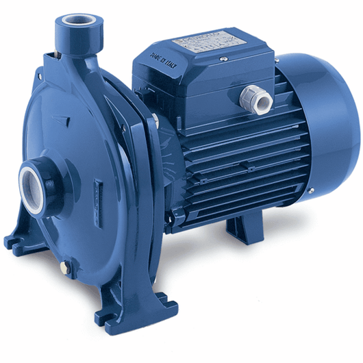 Pedrollo CP 170M