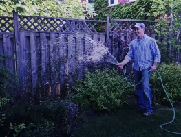 Több mint tíz év tapasztalat